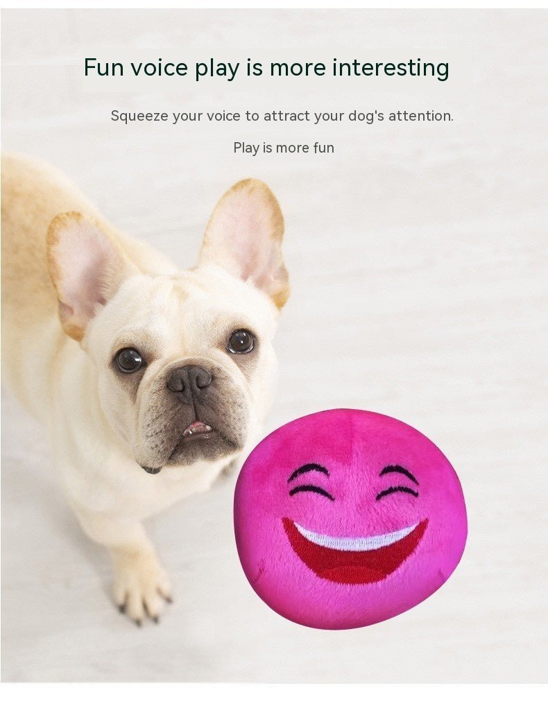 Pet Cat Dog Toy Educational Bite-resistant Vocalization Toy