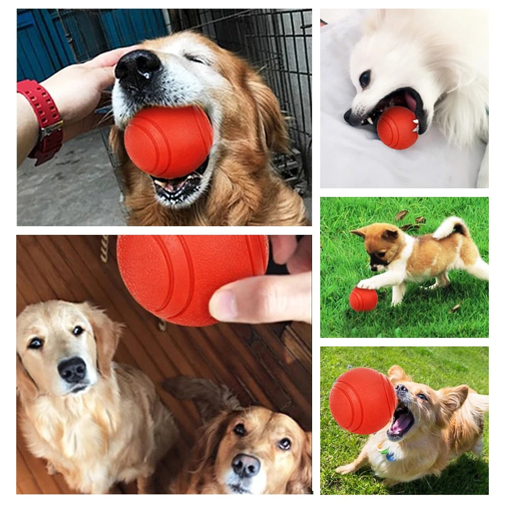 Pet The Dog Rubber Toy Ball