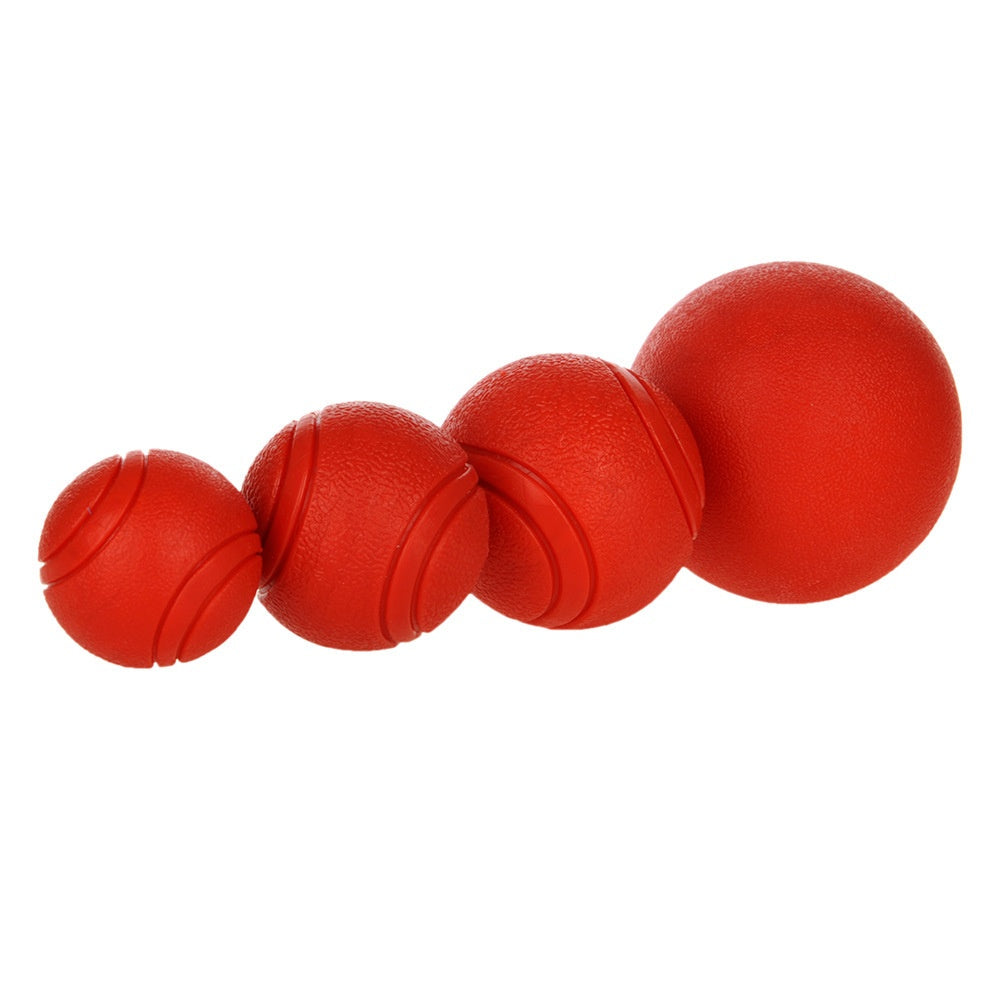 Pet The Dog Rubber Toy Ball