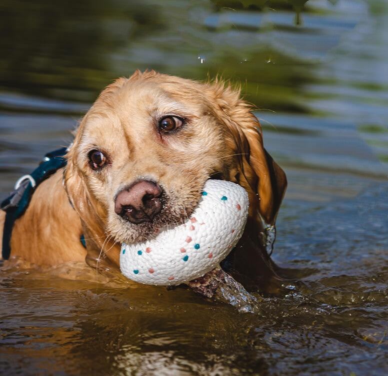 Teeth-resistant Pet Dog Chewing Toy Football